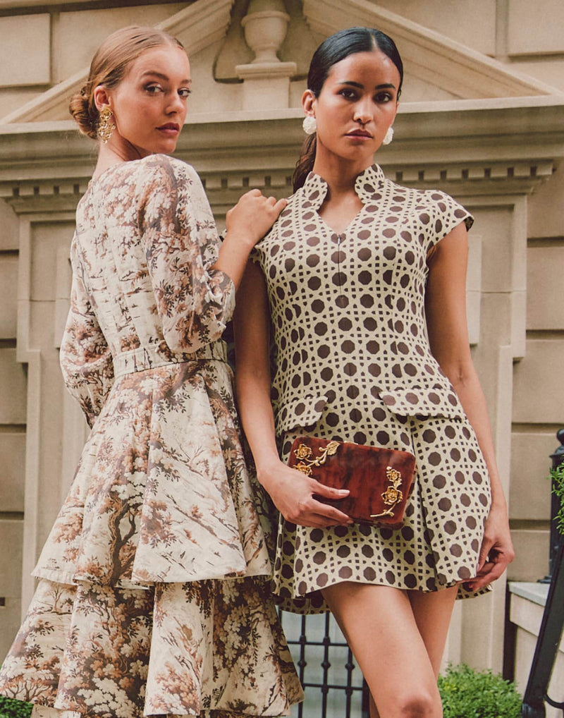 Augustine Gilded Tortoise Acrylic Bag