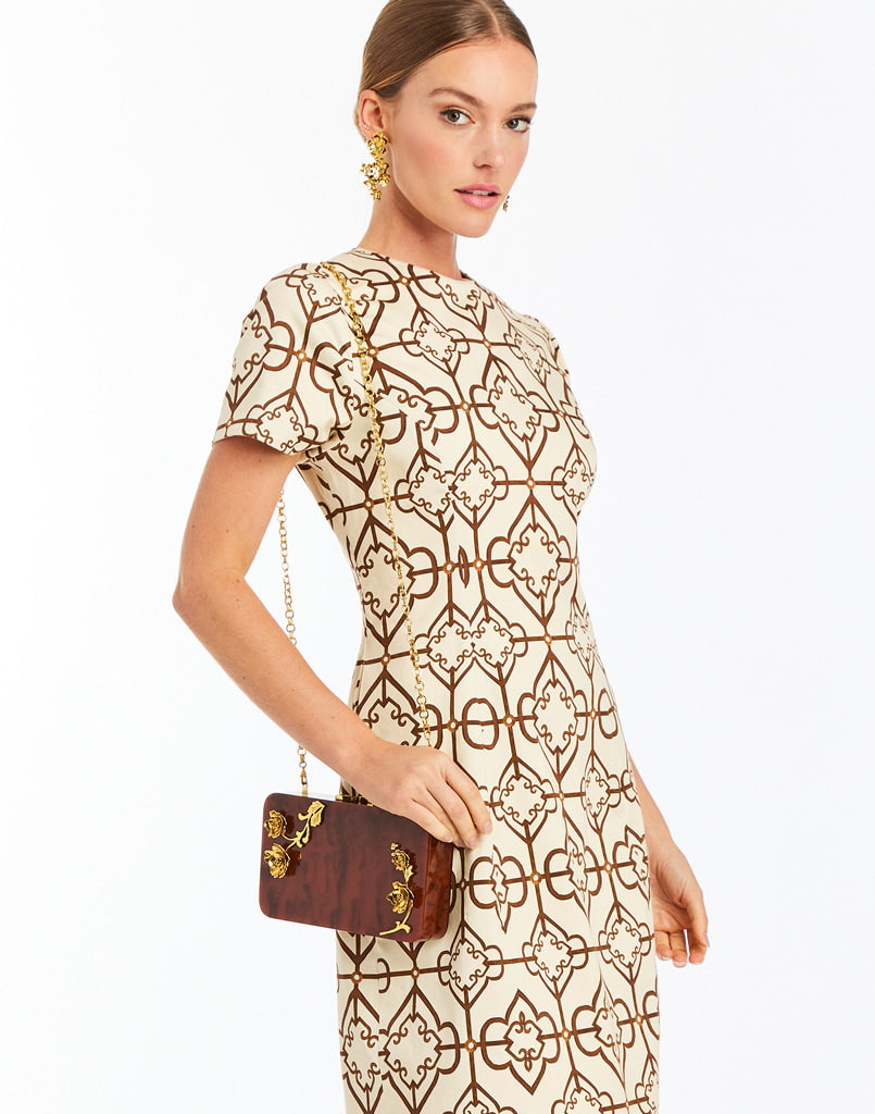 Augustine Gilded Tortoise Acrylic Bag