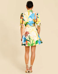 Brooklyn Mini Dress