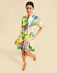 Brooklyn Mini Dress