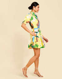 Brooklyn Mini Dress