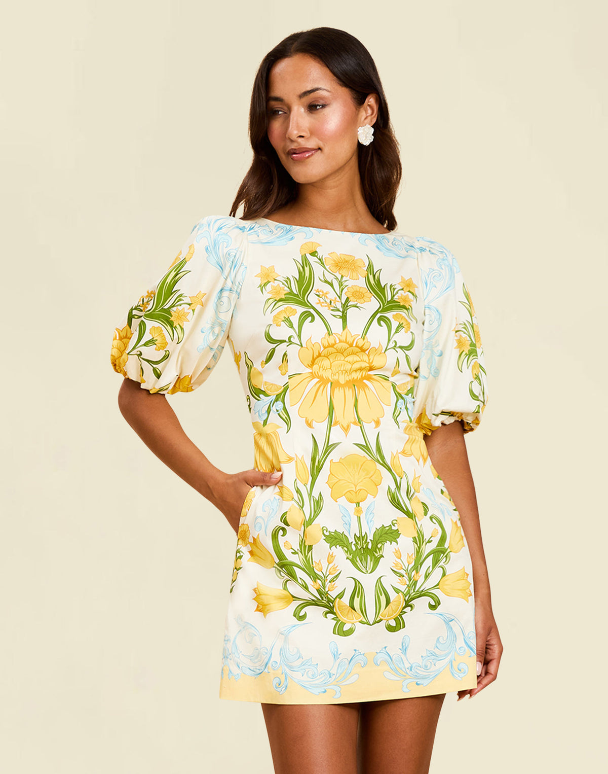 Pre-Order - Donovan Mini Dress