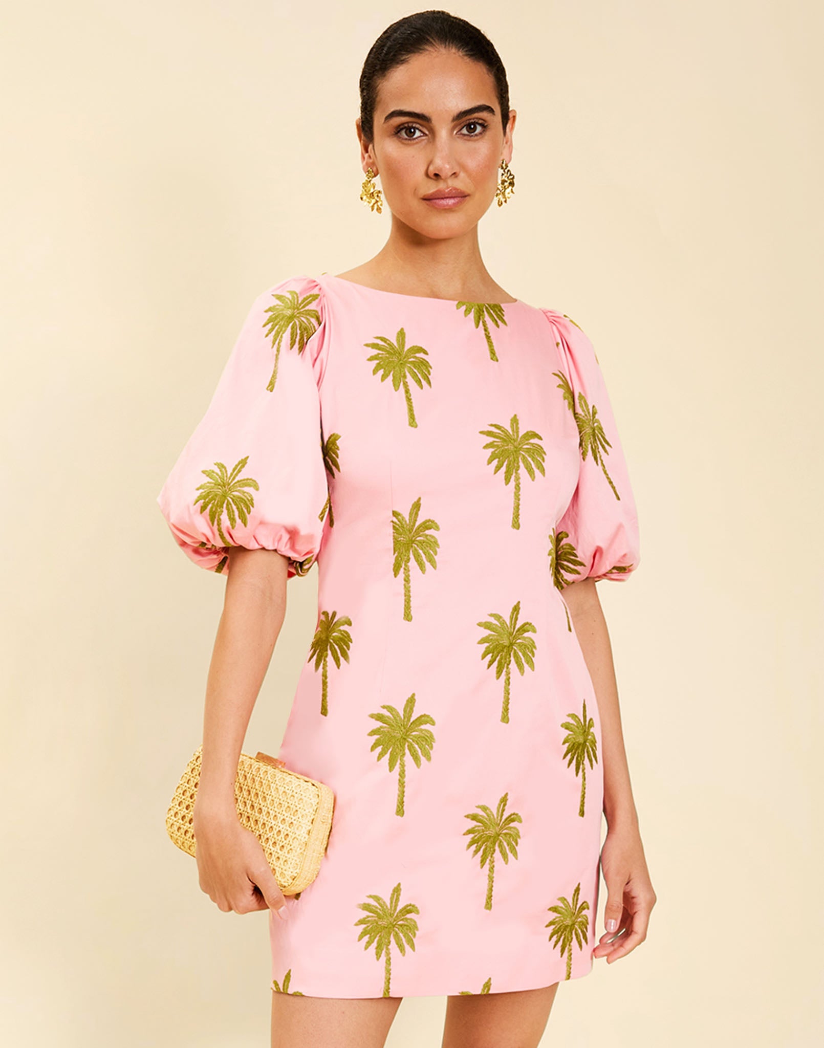 Woman wearing the Mestiza Donovan Mini Dress in English Rose, featuring a boat neckline, embroidered cotton poplin fabrication, fitted waist, balloon sleeves, subtle A-line skirt, and side seam pockets.