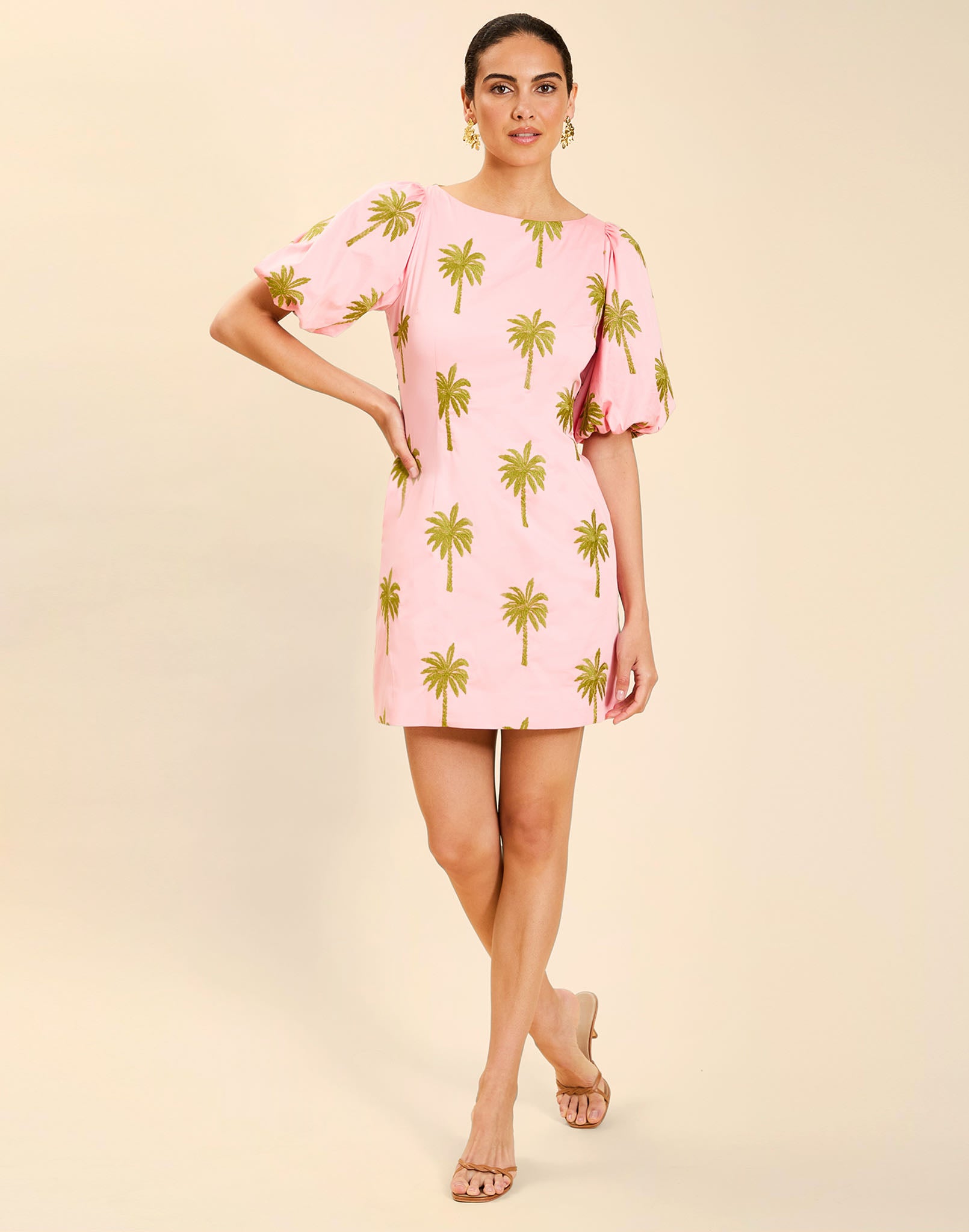 Woman wearing the Mestiza Donovan Mini Dress in English Rose, featuring a boat neckline, embroidered cotton poplin fabrication, fitted waist, balloon sleeves, subtle A-line skirt, and side seam pockets.