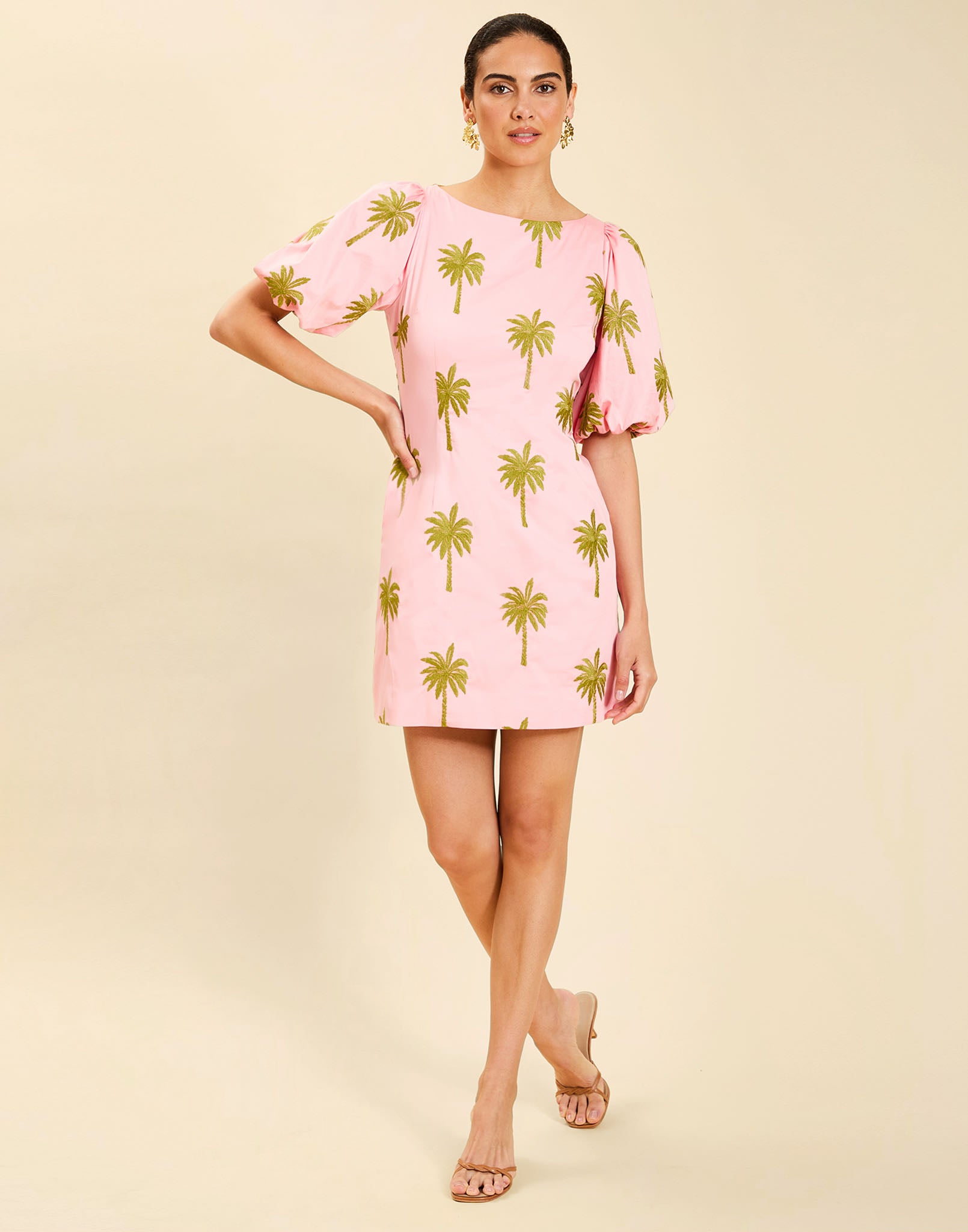 Woman wearing the Mestiza Donovan Mini Dress in English Rose, featuring a boat neckline, embroidered cotton poplin fabrication, fitted waist, balloon sleeves, subtle A-line skirt, and side seam pockets.