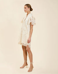 Elliana Lace Mini Dress in Ivory broderie anglaise lace with mandarin collar, pleated puff sleeves, scalloped hem, and shift mini silhouette.